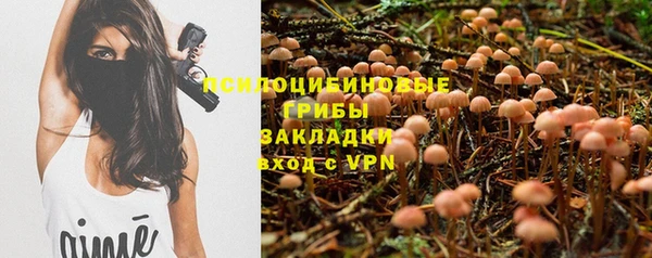 прущие крисы Ахтубинск