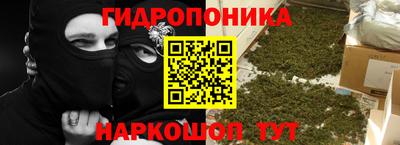 a pvp Гагарин