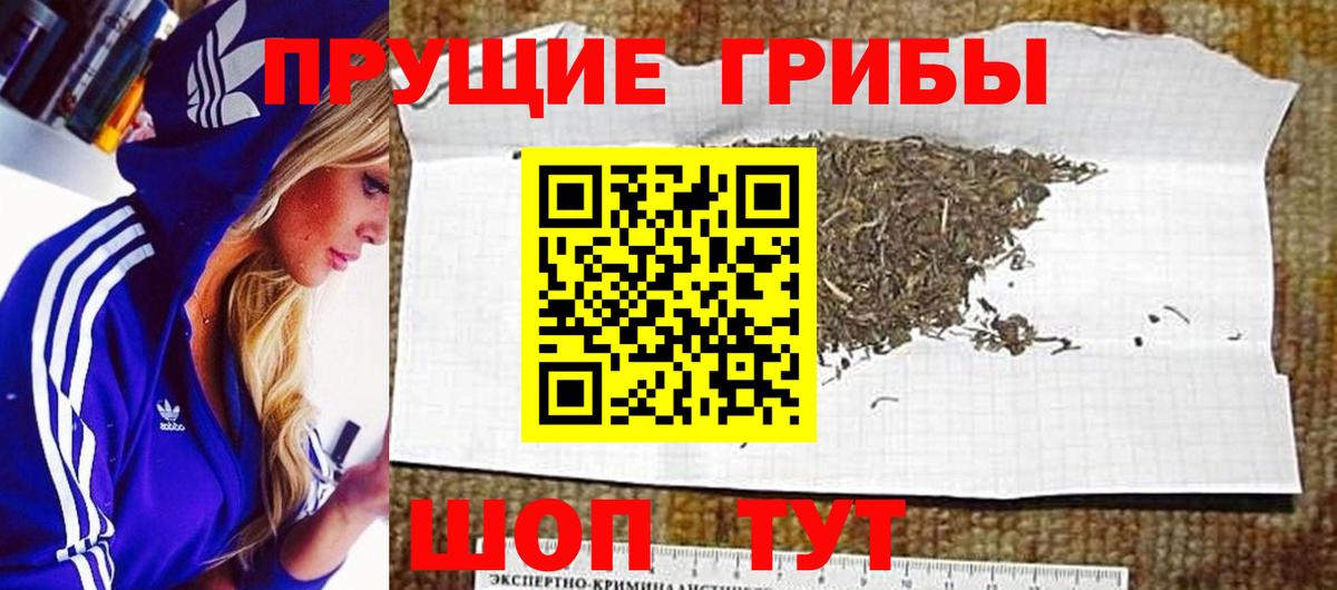 Псилоцибиновые грибы GOLDEN TEACHER Джанкой